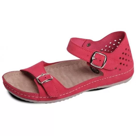 Ledi anatomic 713