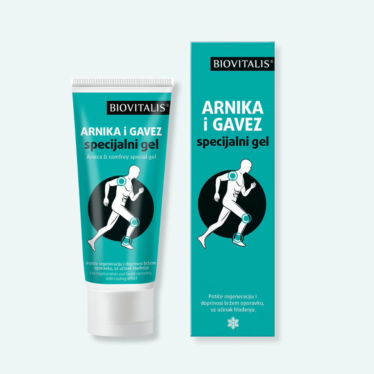Arnika i gavez 1 1