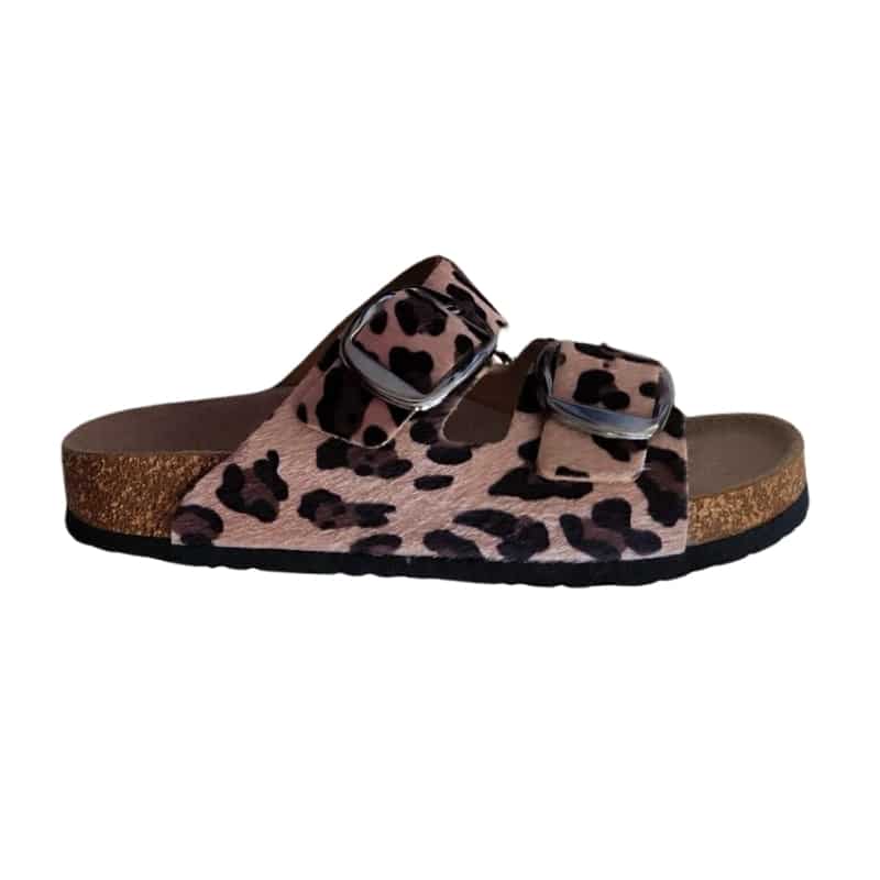 Leopard anatomski papuchi